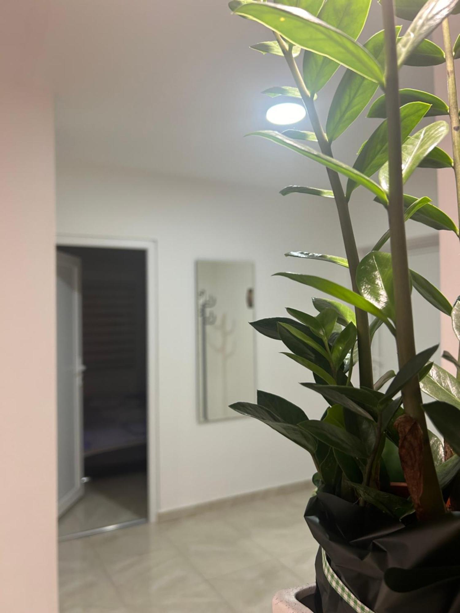 Apartman Diamond Lux Surčin Zewnętrze zdjęcie