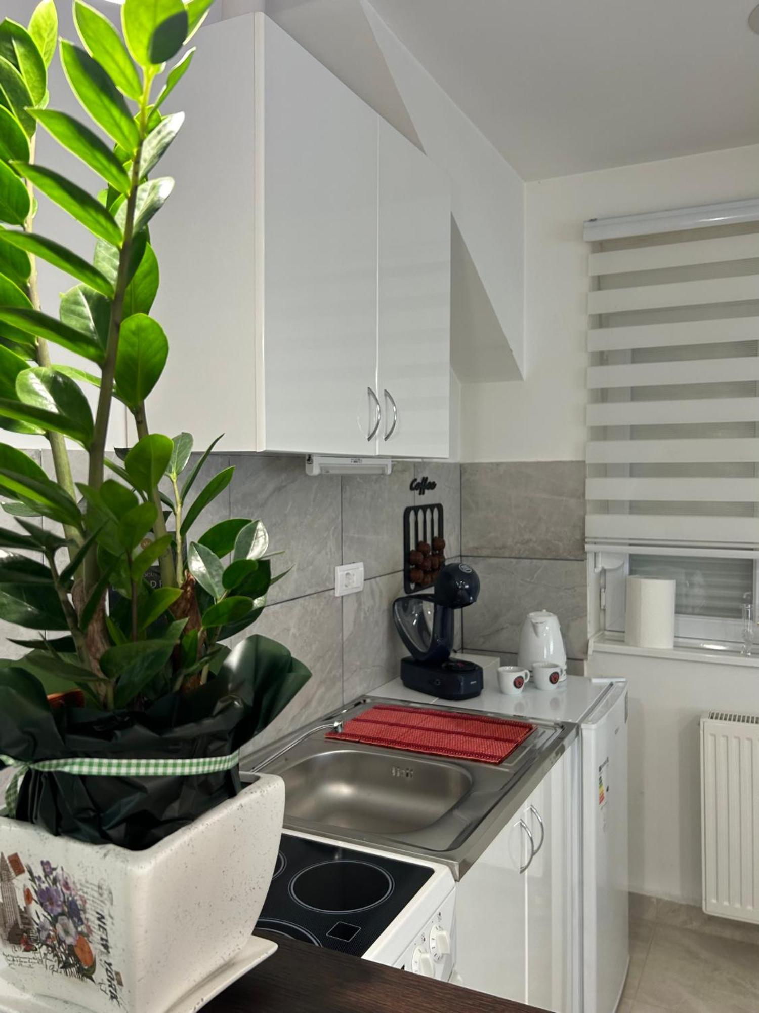 Apartman Diamond Lux Surčin Zewnętrze zdjęcie